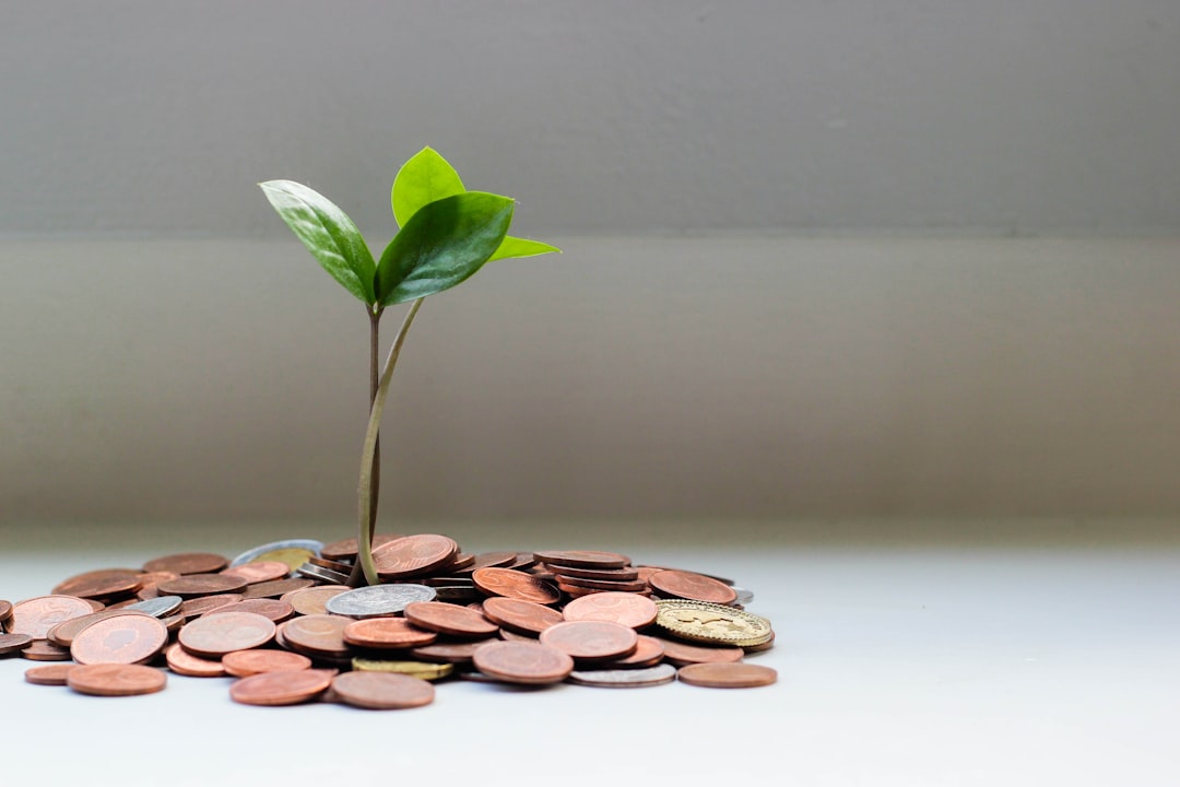 Proteger inversiones de la inflación